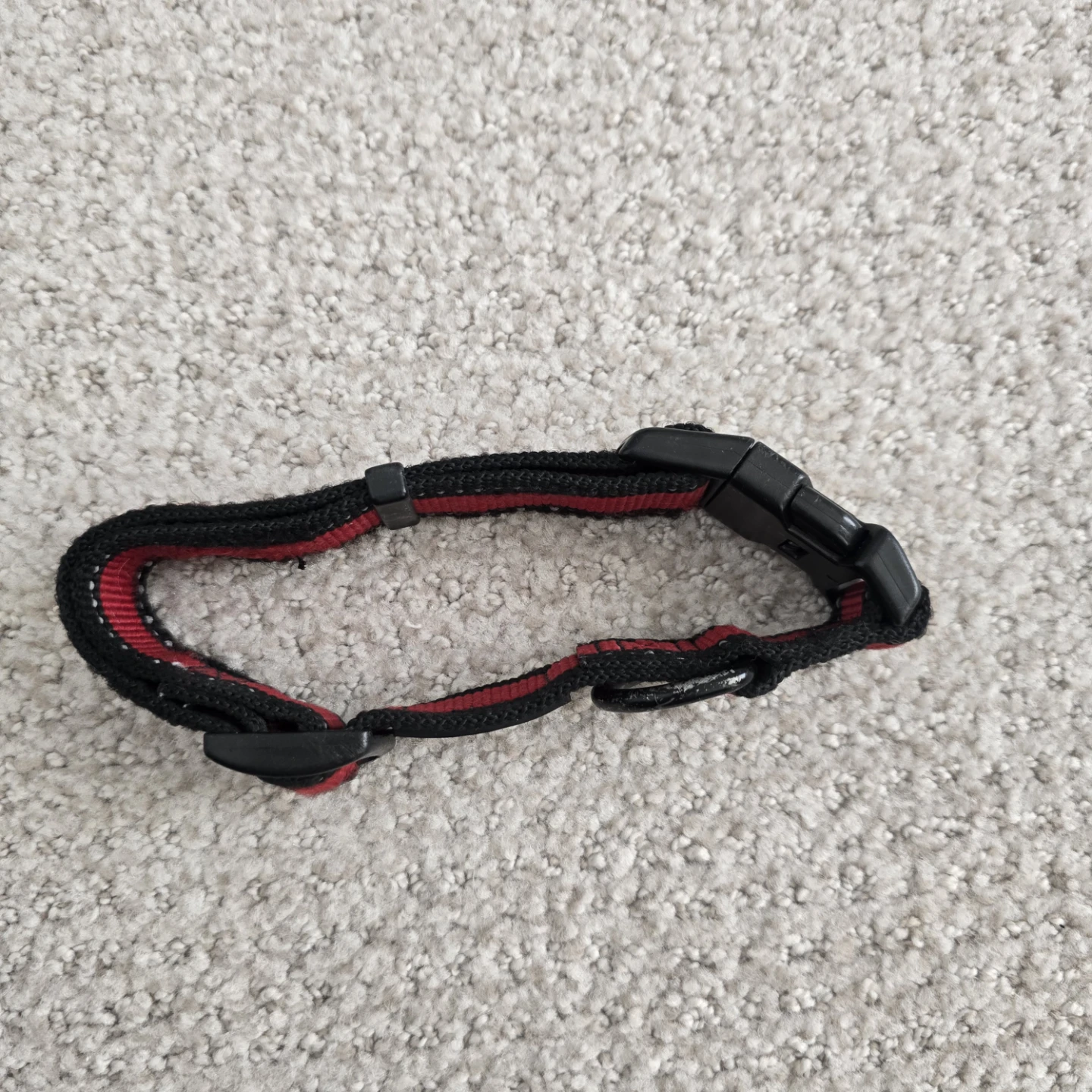 Kong Dog Collar - Red and Black