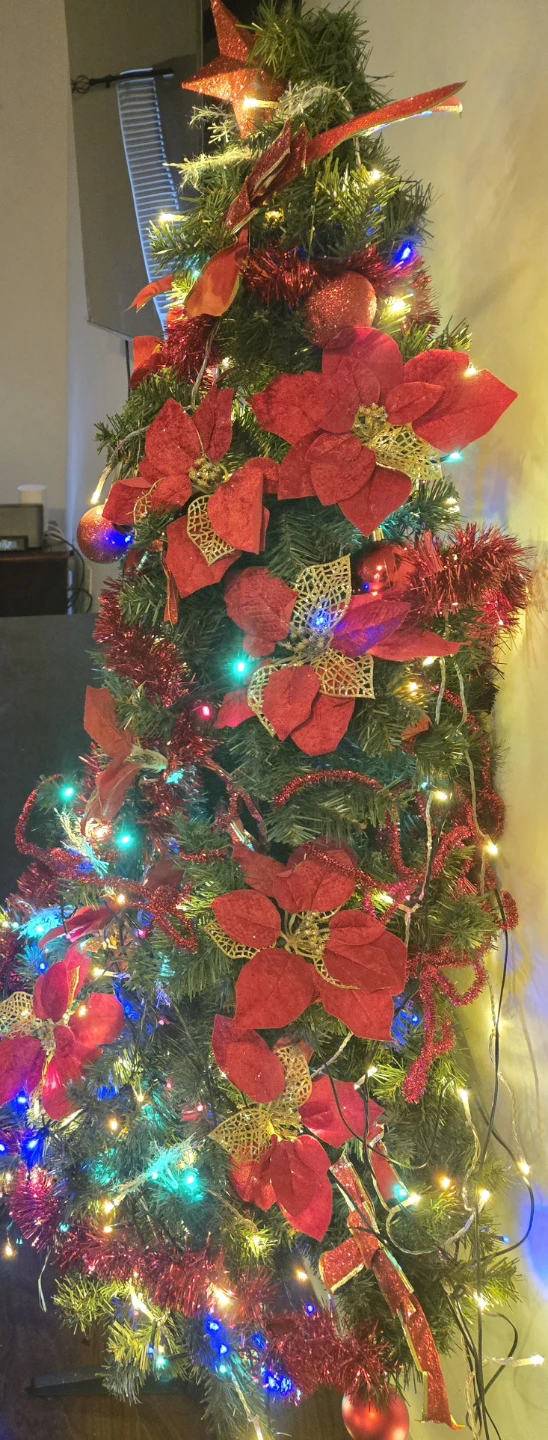 Christmas trees