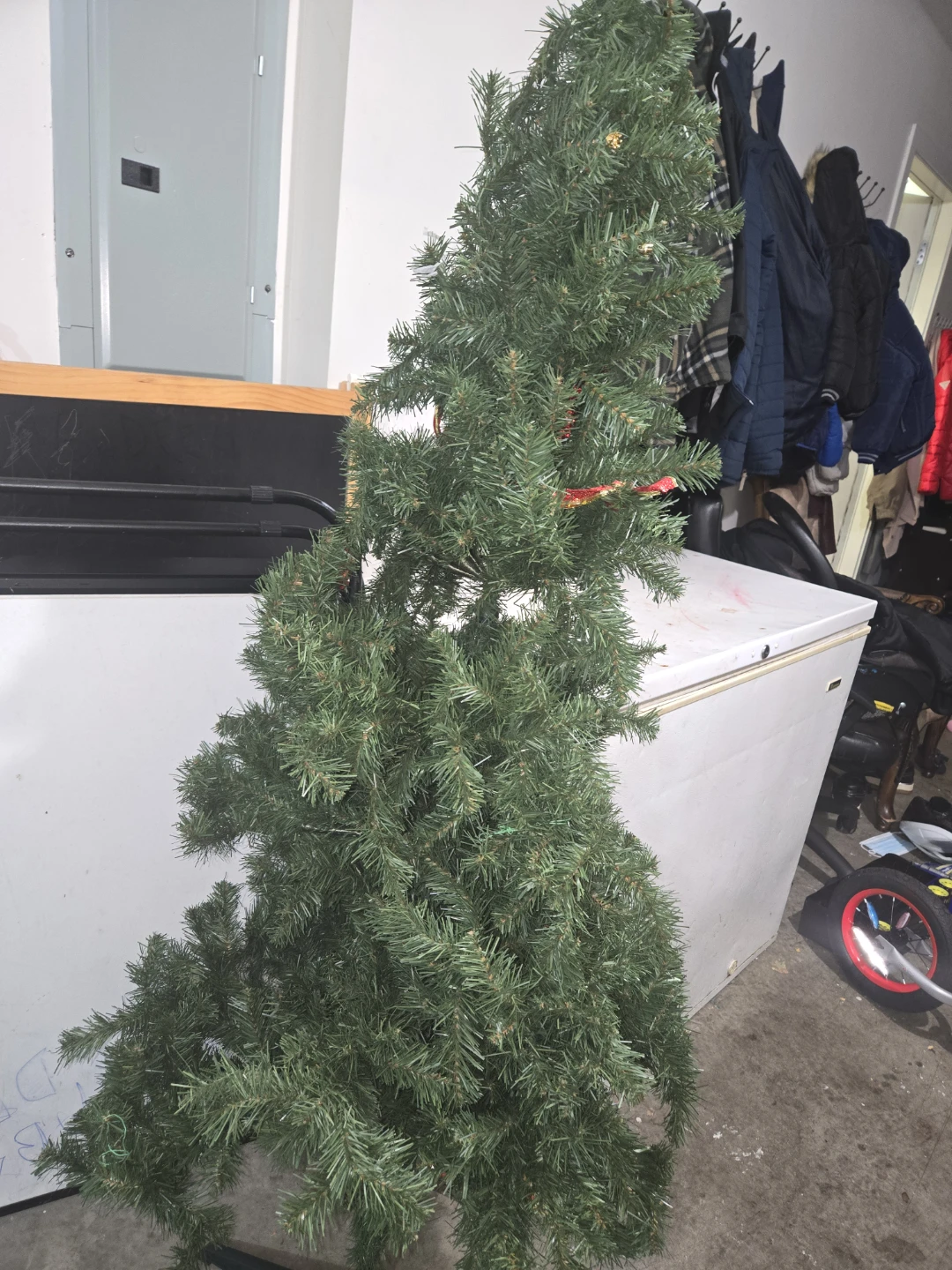 Christmas trees - photo 2