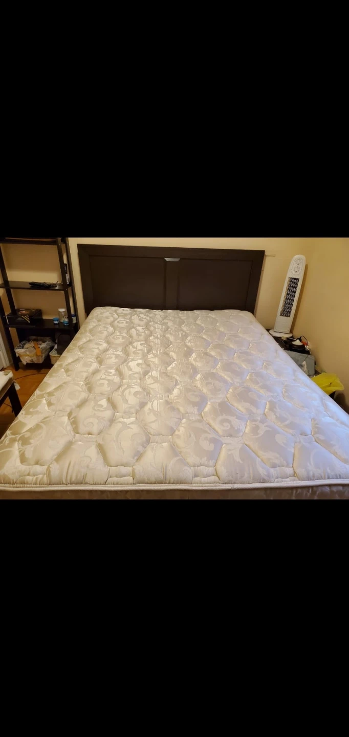 Queen Size bed with Seally Mattress, Bed Frame and Headboard - photo 2