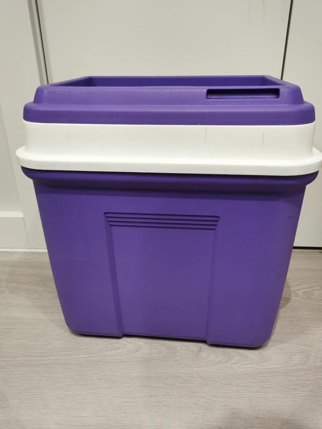 Purple Cooler Box