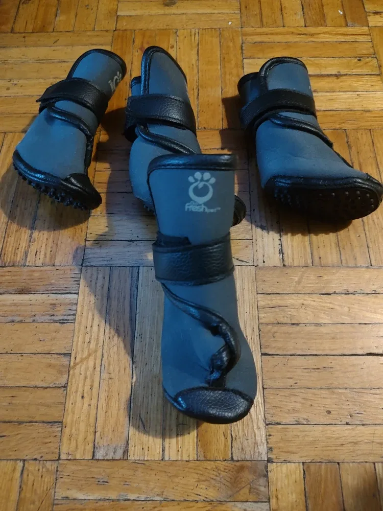 Fresh Paws Dog Boots, Size Large image indicator(2)