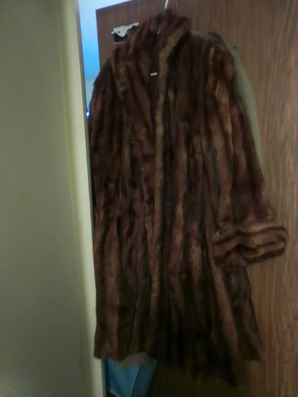 Brown mink Fur Coat image indicator(2)