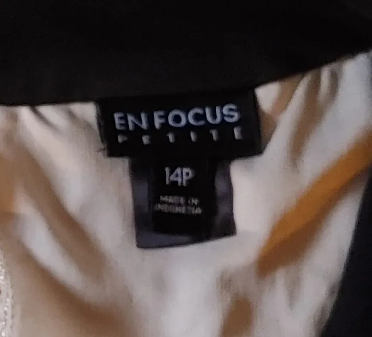 En Focus Petite Black/Silver Dress - Size 14P image indicator(9)