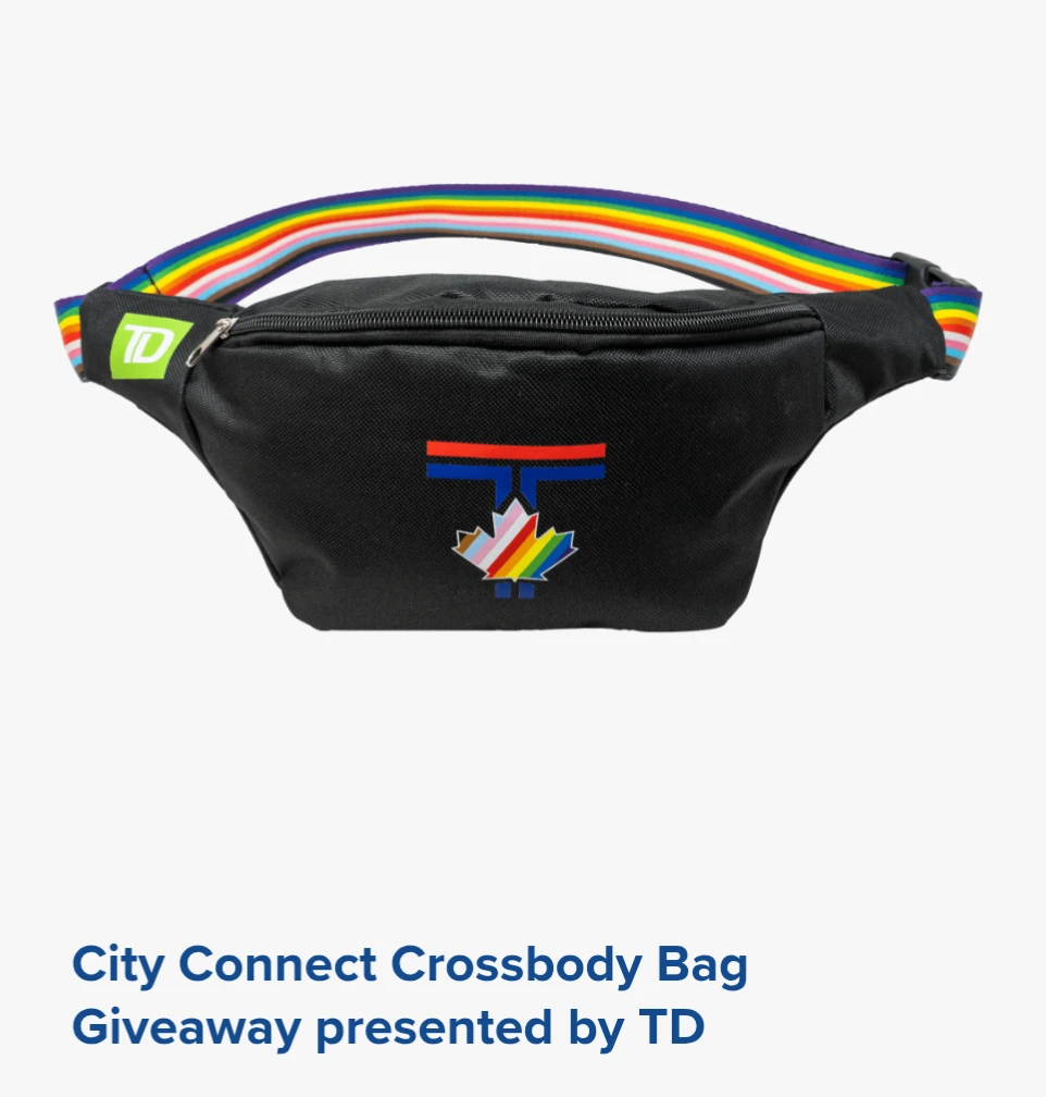 TD City Connect Crossbody Bag