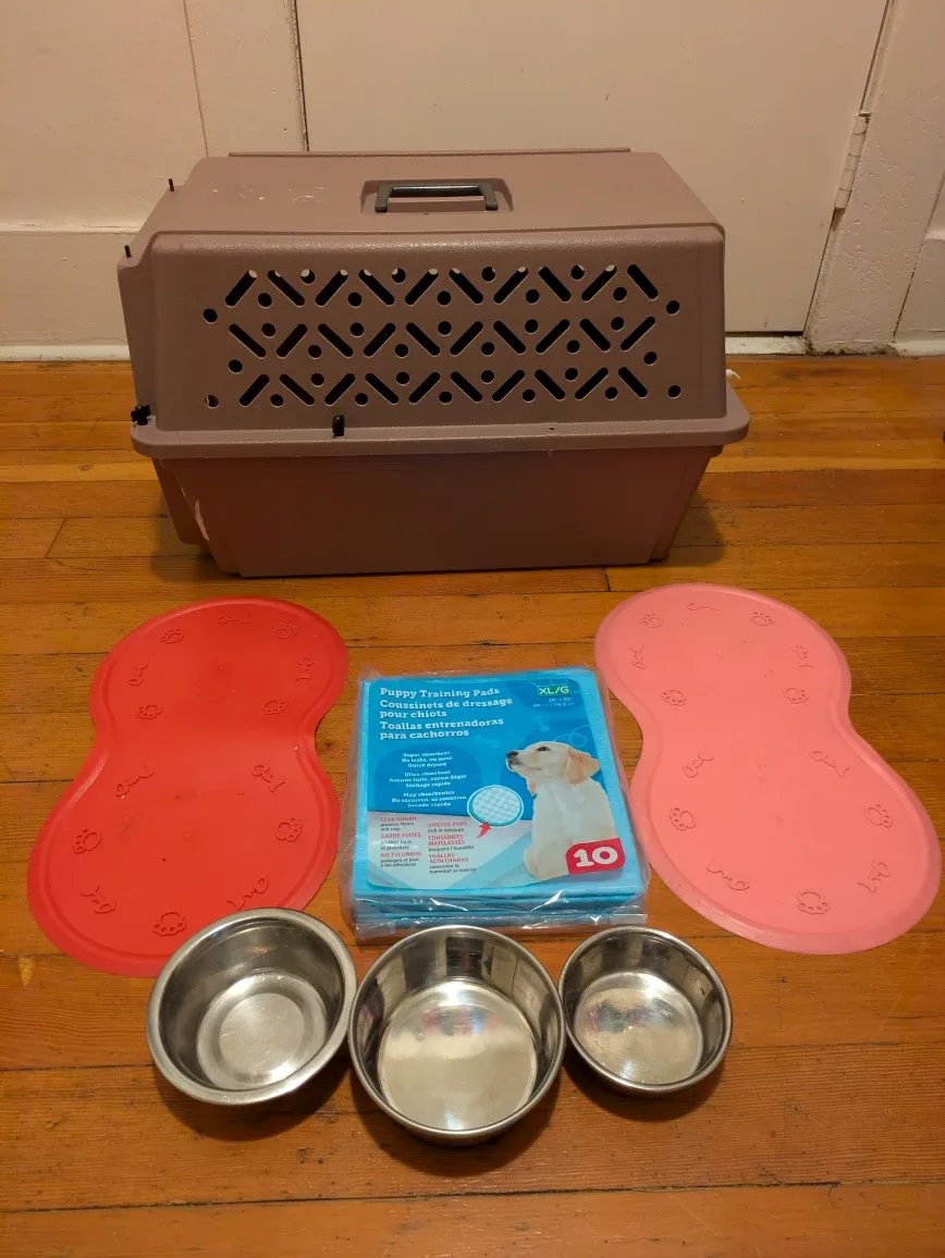 Dog Carrier, Puppy Pads, Bowls & Mats #Cleanout