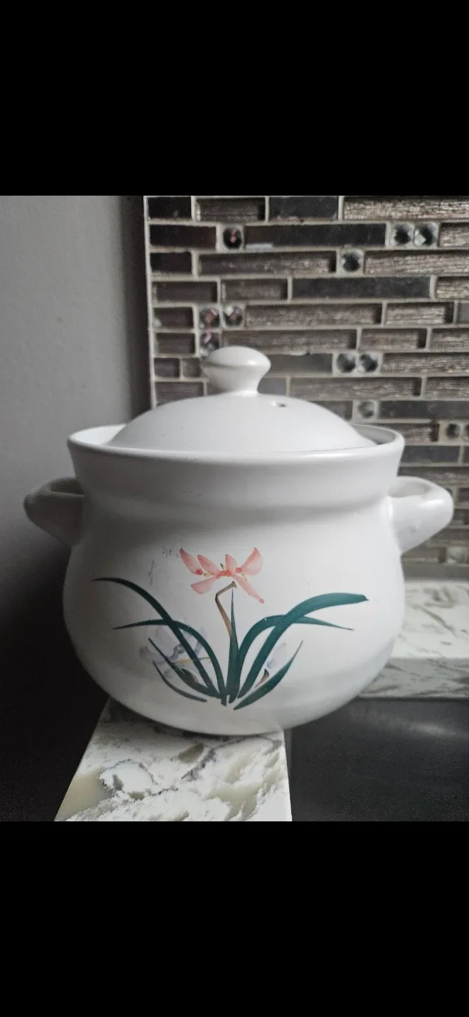Ceramic Casserole Pot