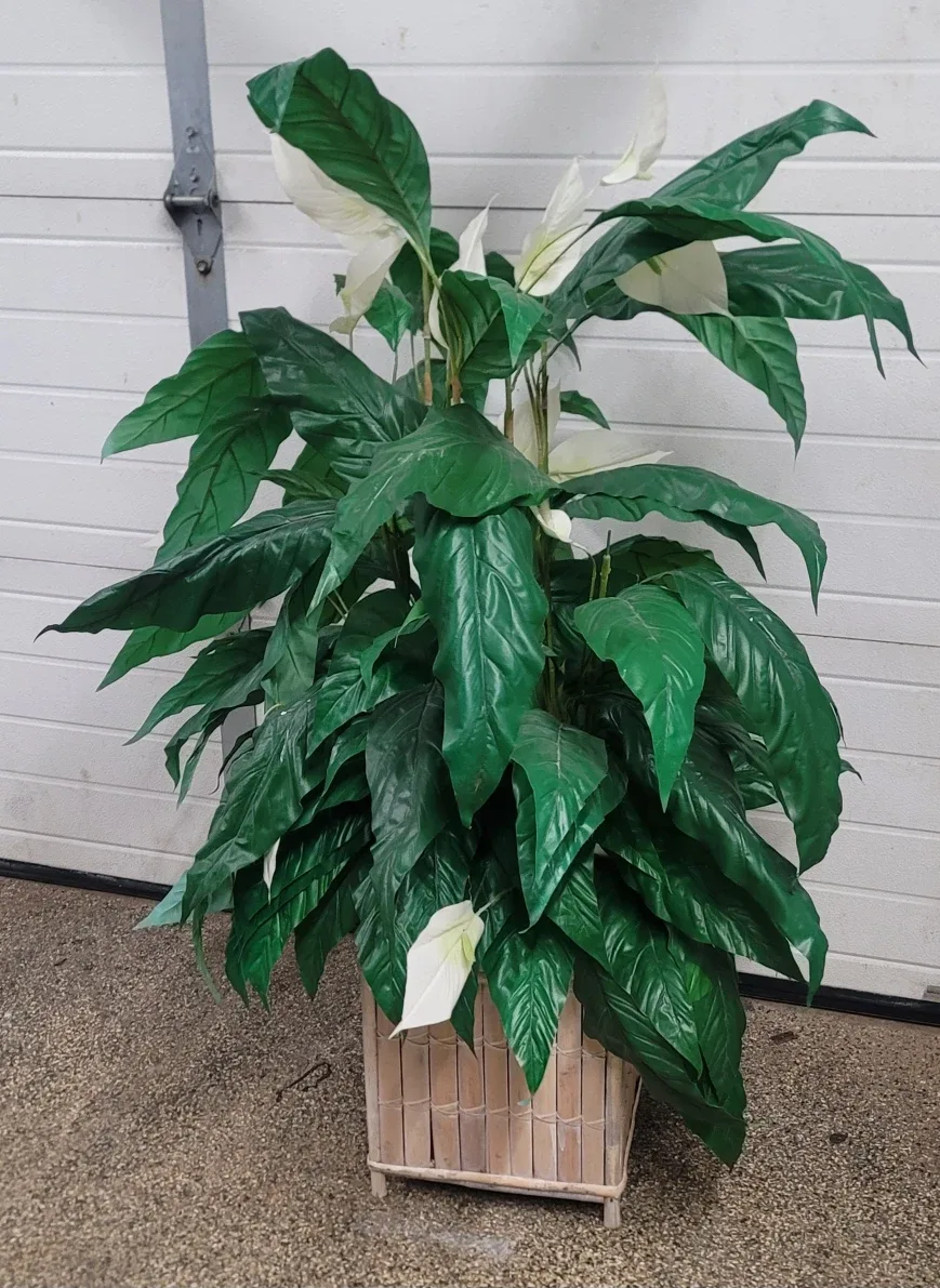 Artificial Peace Lily in Pot