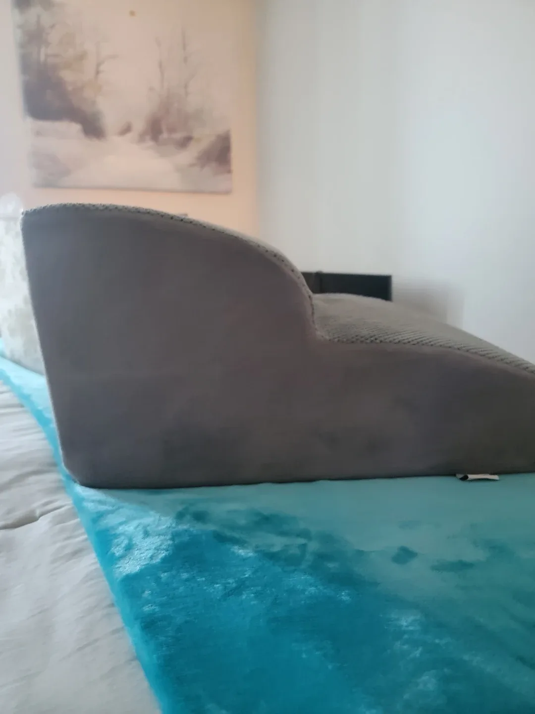 Puppy stairs image indicator(3)