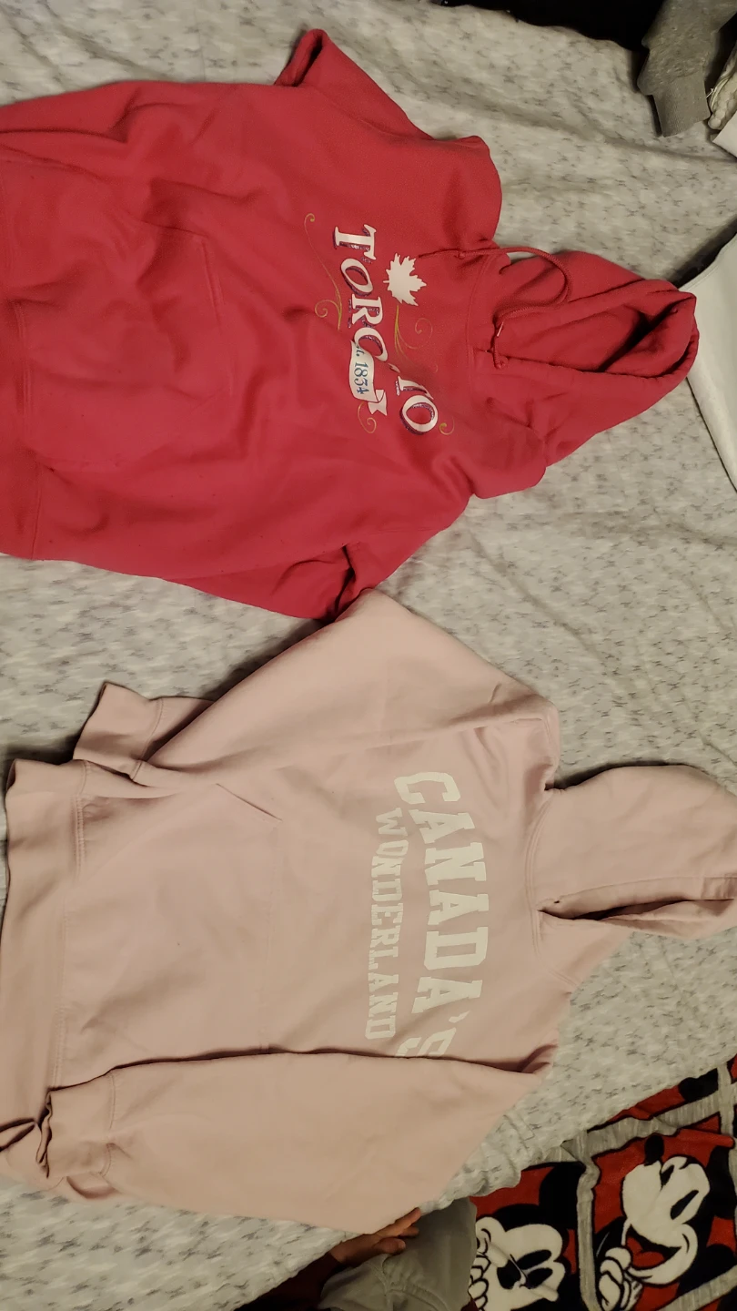Toronto & Canada's Wonderland Hoodies