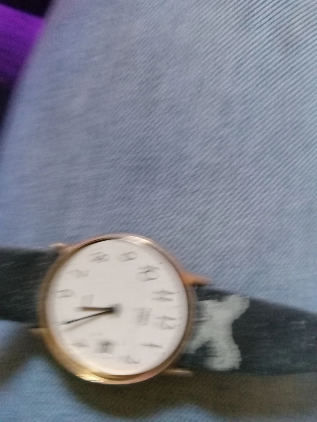 Timex Quartz Watch