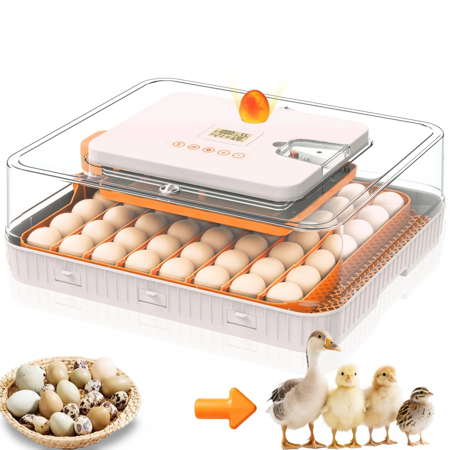 Large Egg Incubator for 56 Eggs