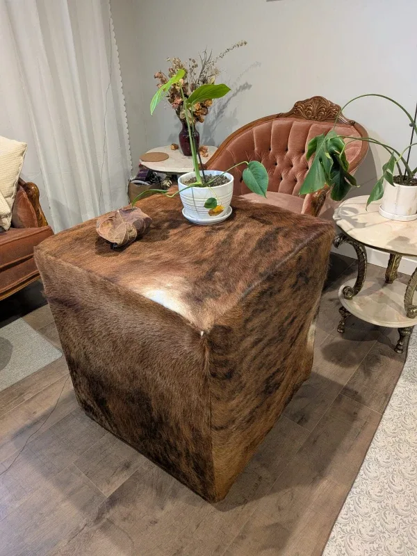 Mabel Cowhide Cube Ottoman image indicator(4)