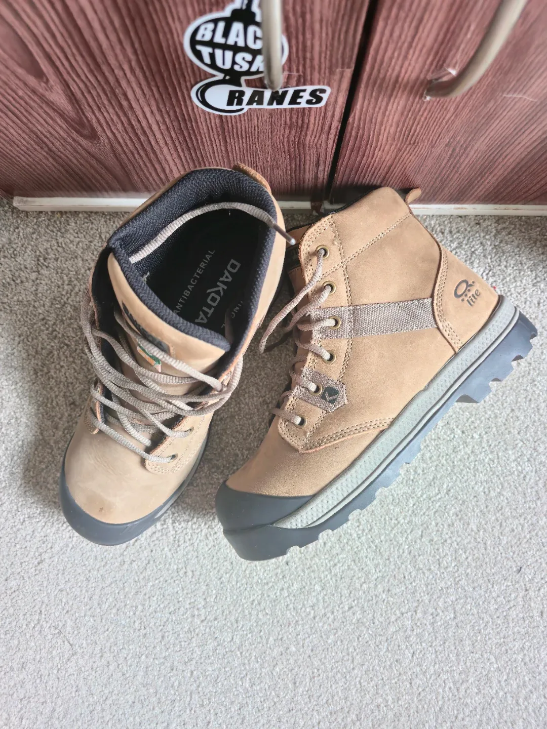 Dakota Tarantula Work Boots - Size 9