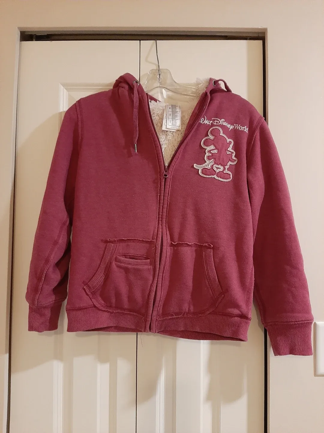 Disney Parks Walt Disney World Hoodie - Size M