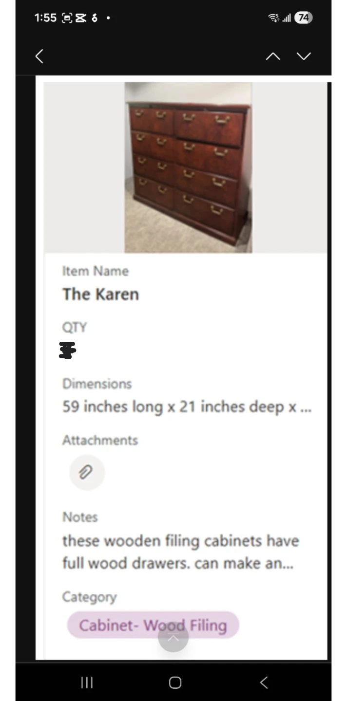 The Karen Wood Filing Cabinet - Excellent Condition