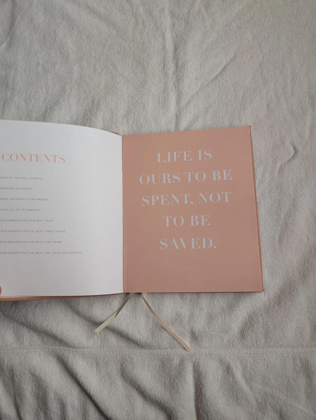 Dream Journal - photo 2