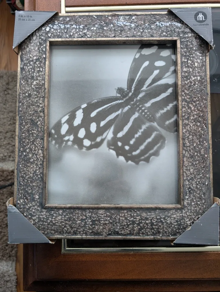 New hometrends 8x10 Picture Frame