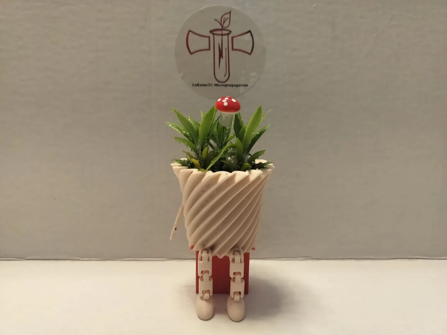 🌿 Healthy Plants in Custom 3D Printed Planters