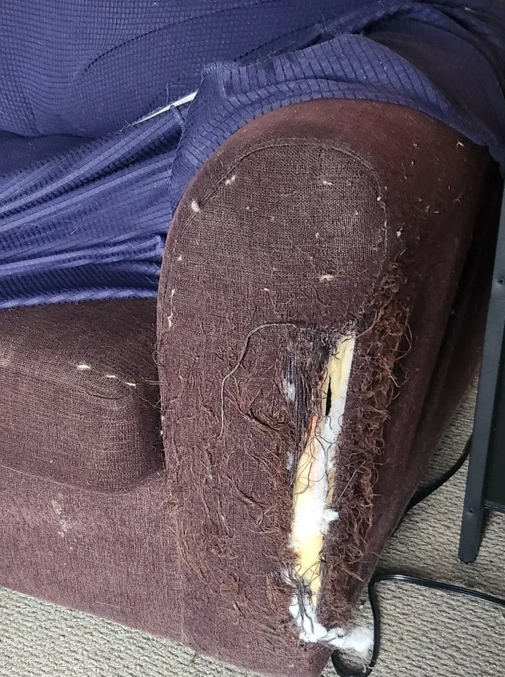 Armchair & Loveseat image indicator(4)