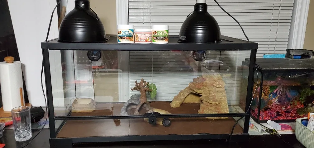 Upgraded 40 Gallon Reptile Habitat Terrarium