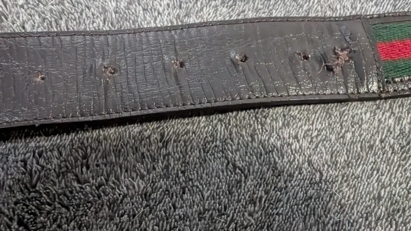 Gucci Clip Buckle Leather Belt – Authentic w/ Sales Memo image indicator(3)