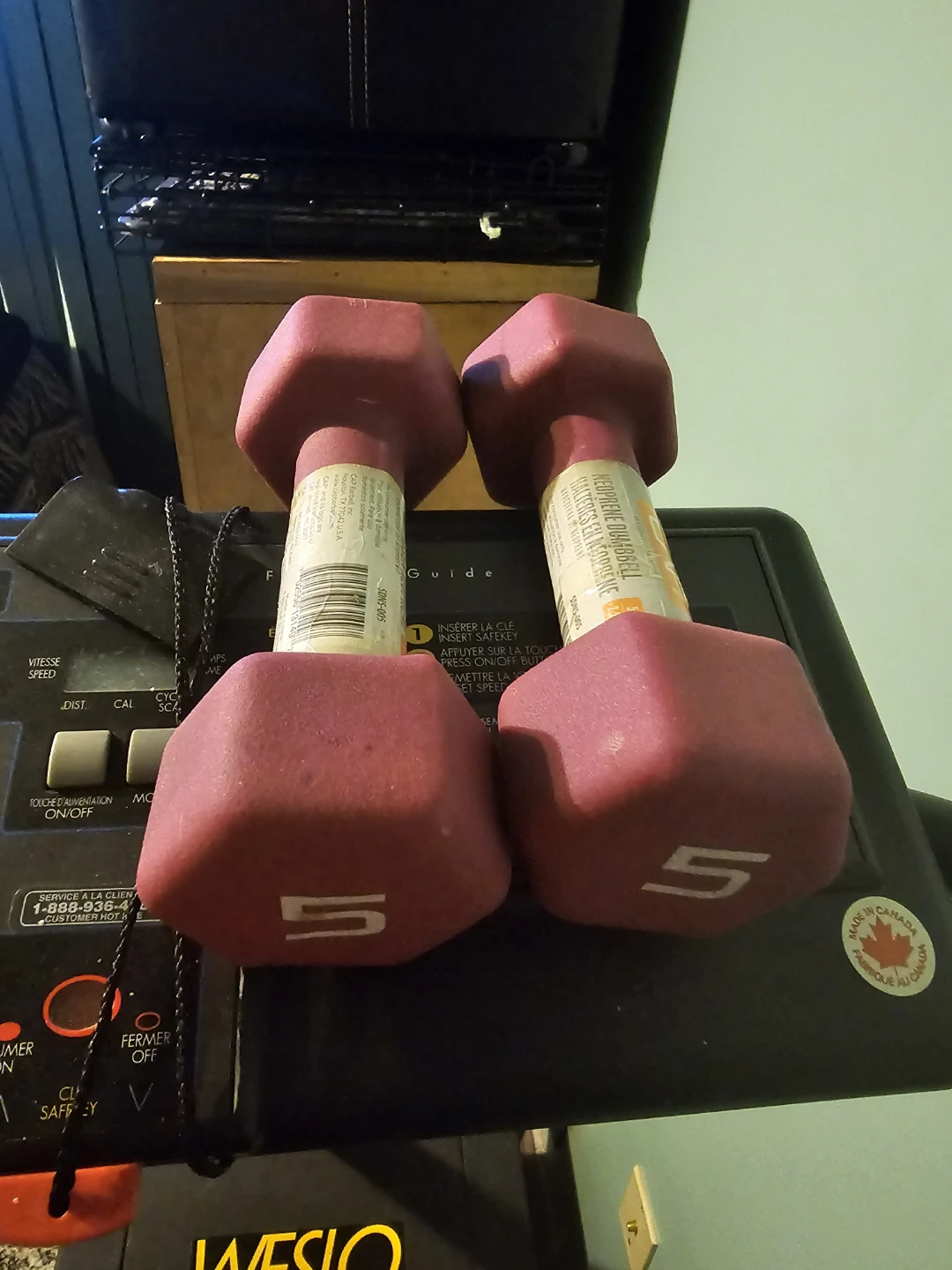 5 pound weights