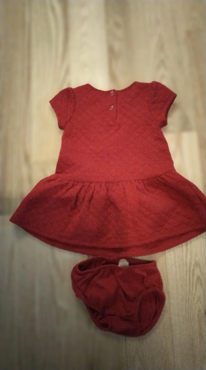 Red Baby Dress with Snowflake from Gymboree!  18 mts girl - photo 2