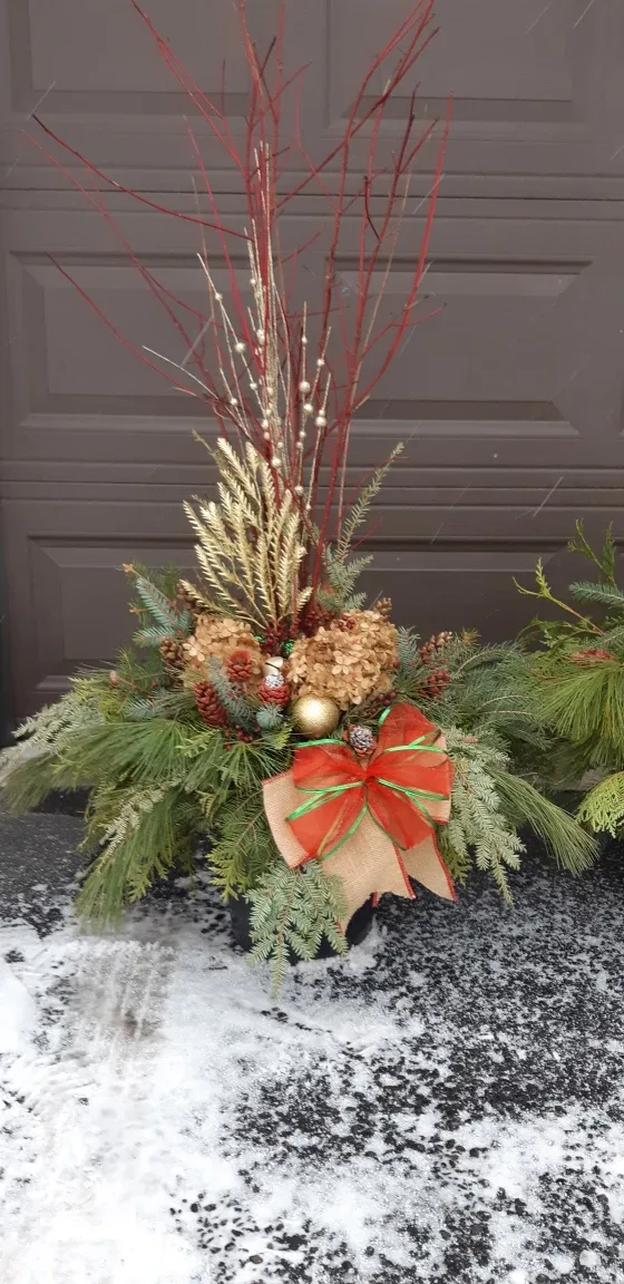 🤩Weekend sale!! Winter Planters image indicator(3)