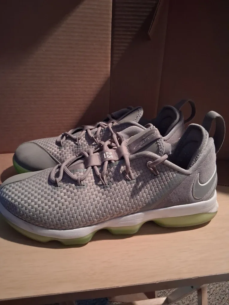 Nike LeBron Witness 14 low dunkman