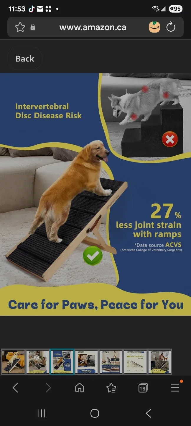foldable Wood Wood pet Ramp 39" image indicator(3)