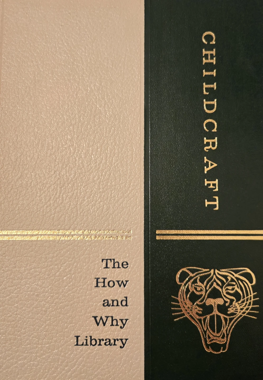 Childcraft - The How and Why Library - 15 Books - photo 2