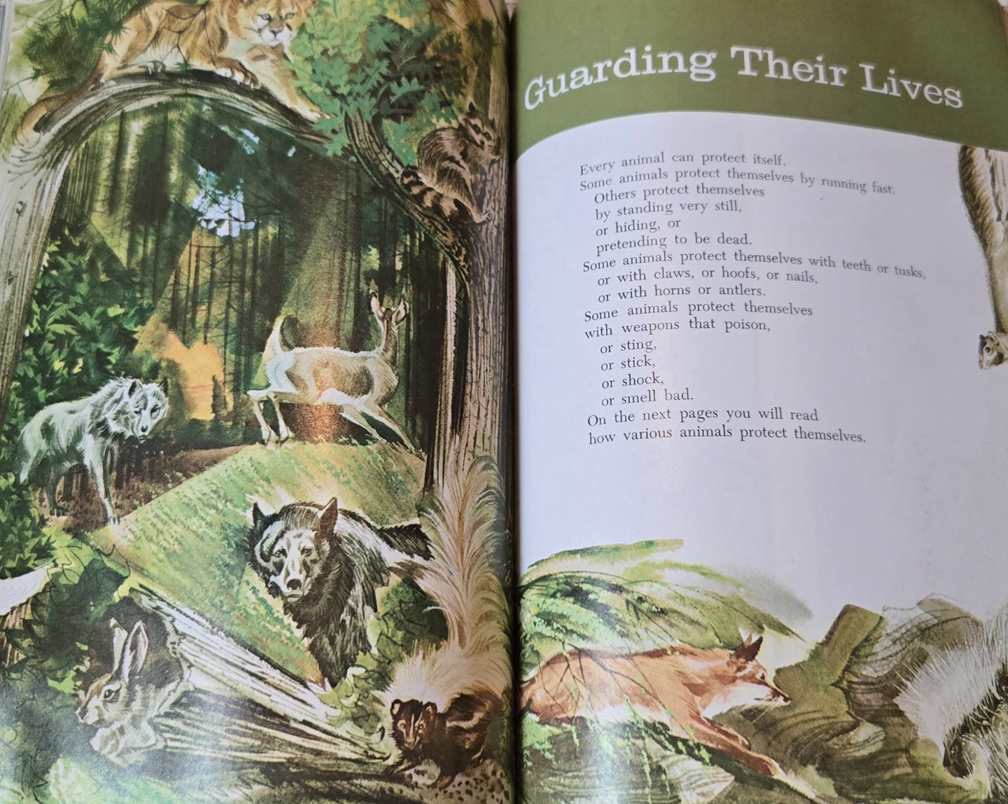 Childcraft - The How and Why Library - 15 Books - photo 3