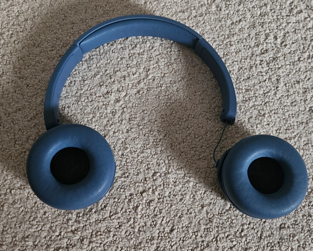 Sony Blue Wireless Headphones