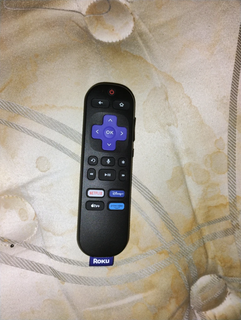 Sharp Aquos TV and Roku Streaming Stick - photo 3