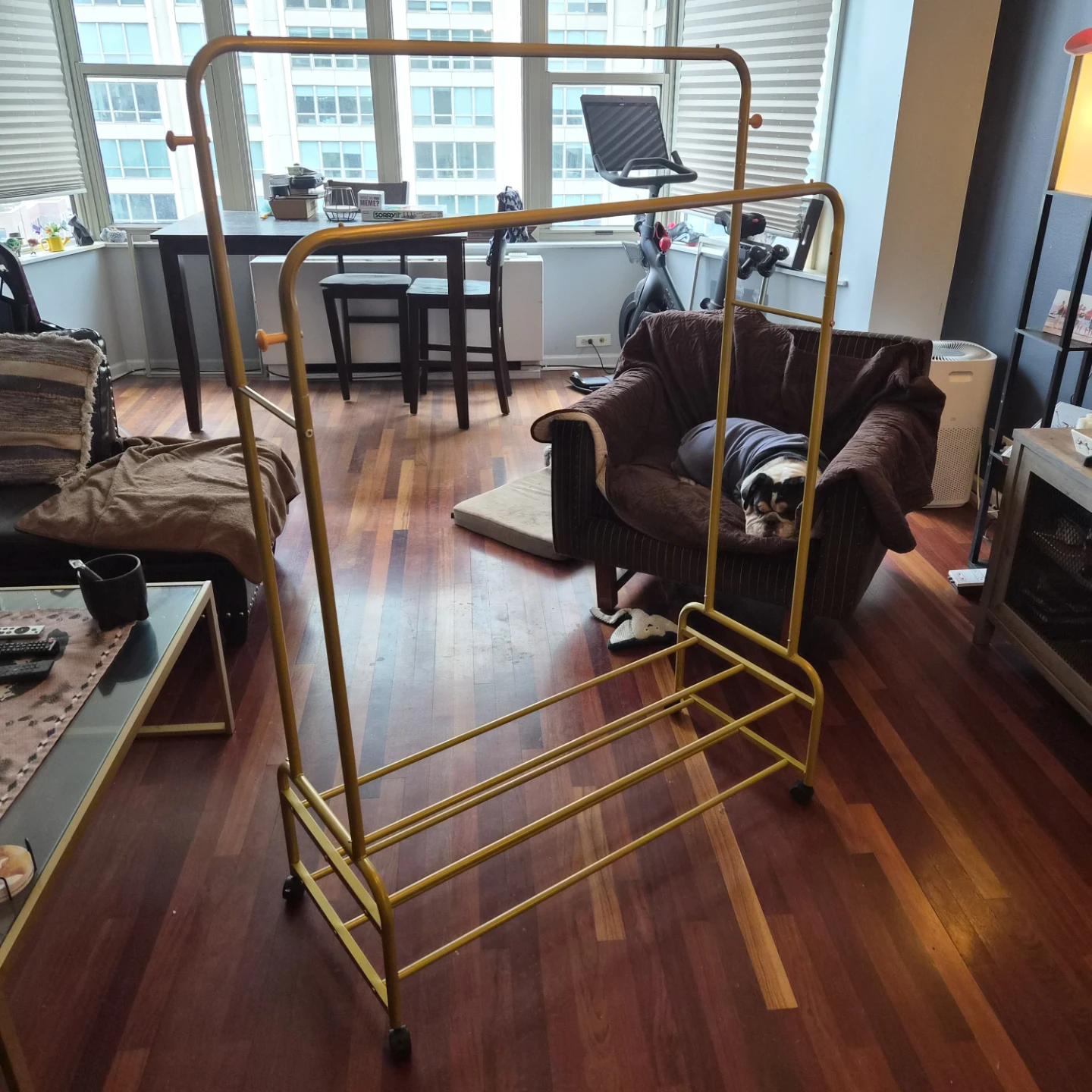Mobile Double Clothes and Shoe Rack