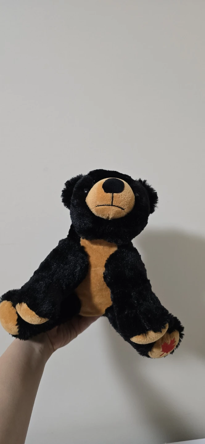 Assorted Teddy Bears - photo 3
