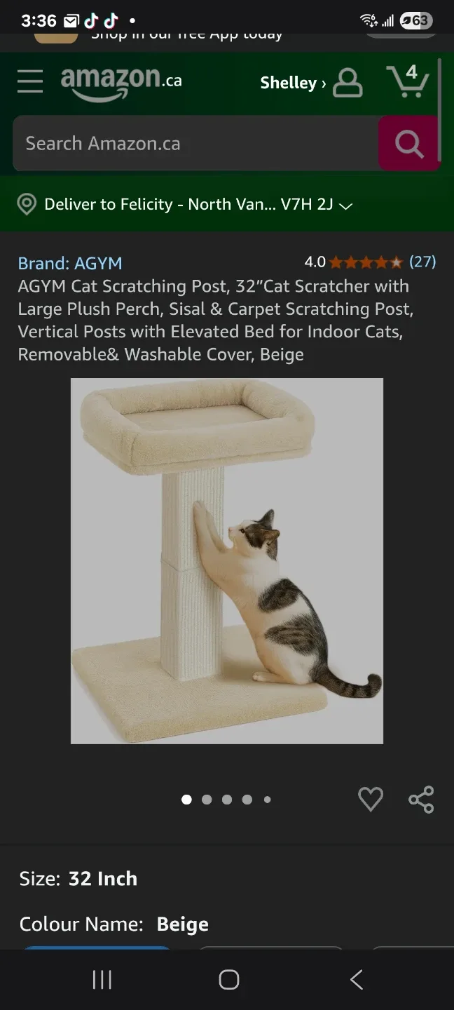 Cat Scratching Post, 32 Perch New