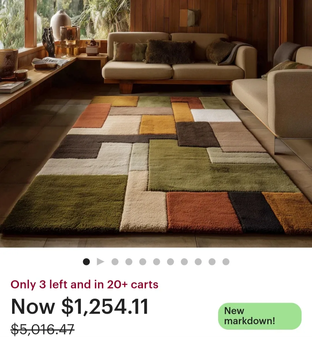 Beautiful NEW large 10x14 handmade wool rug image indicator(4)