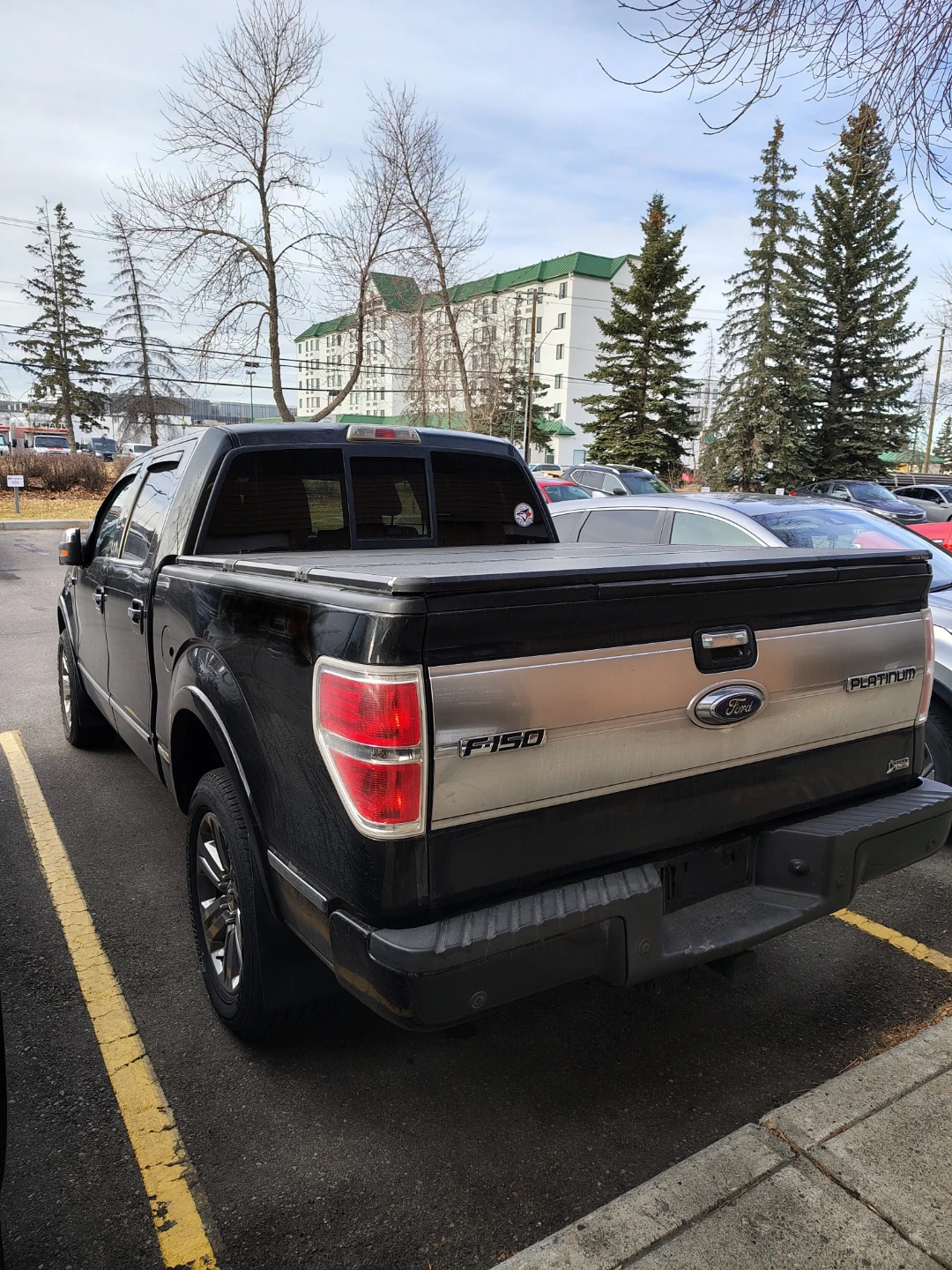 2010 Ford F-150 "Platinum" - photo 4
