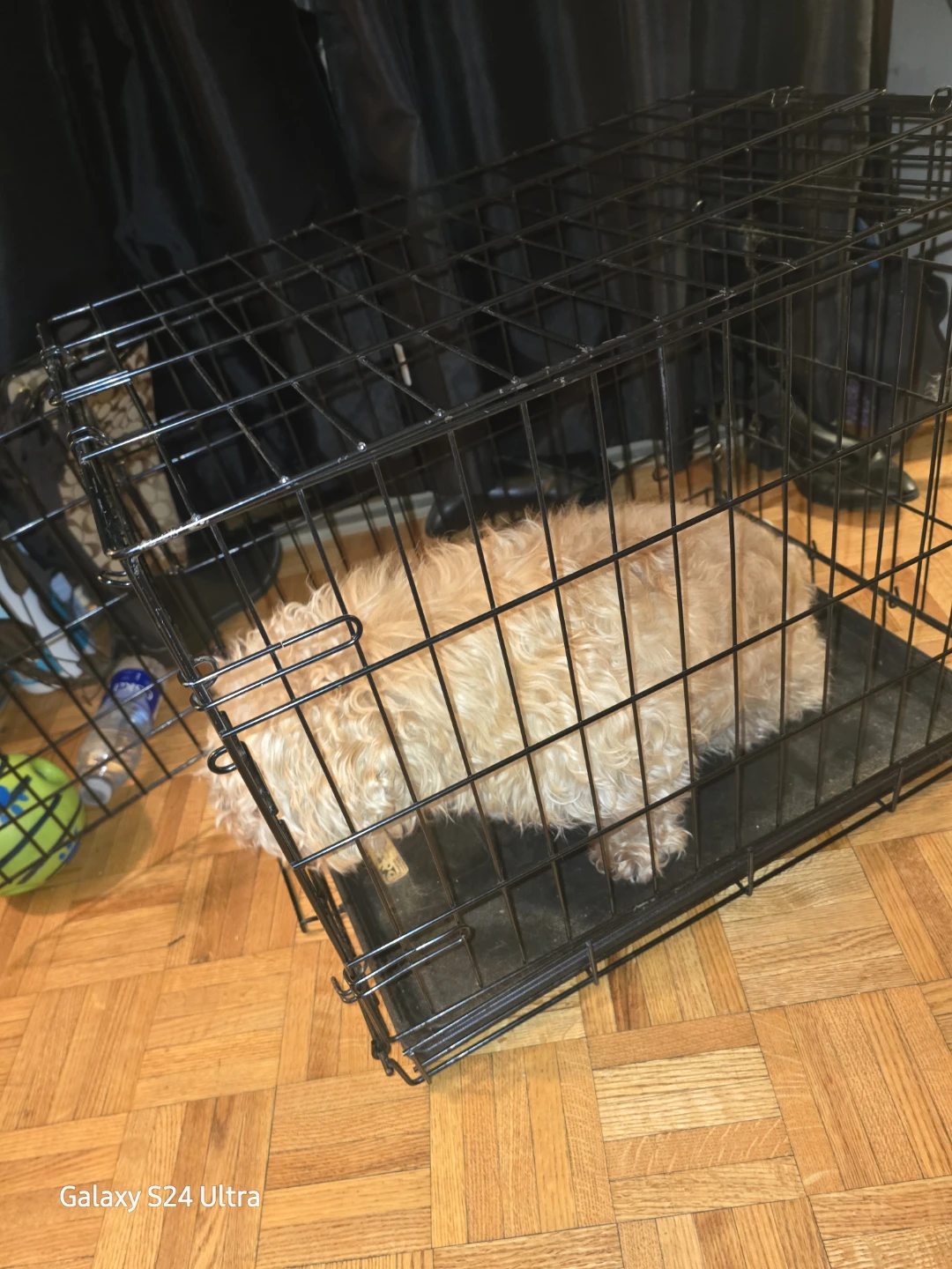Dog Crate - Essentials Small - photo 3