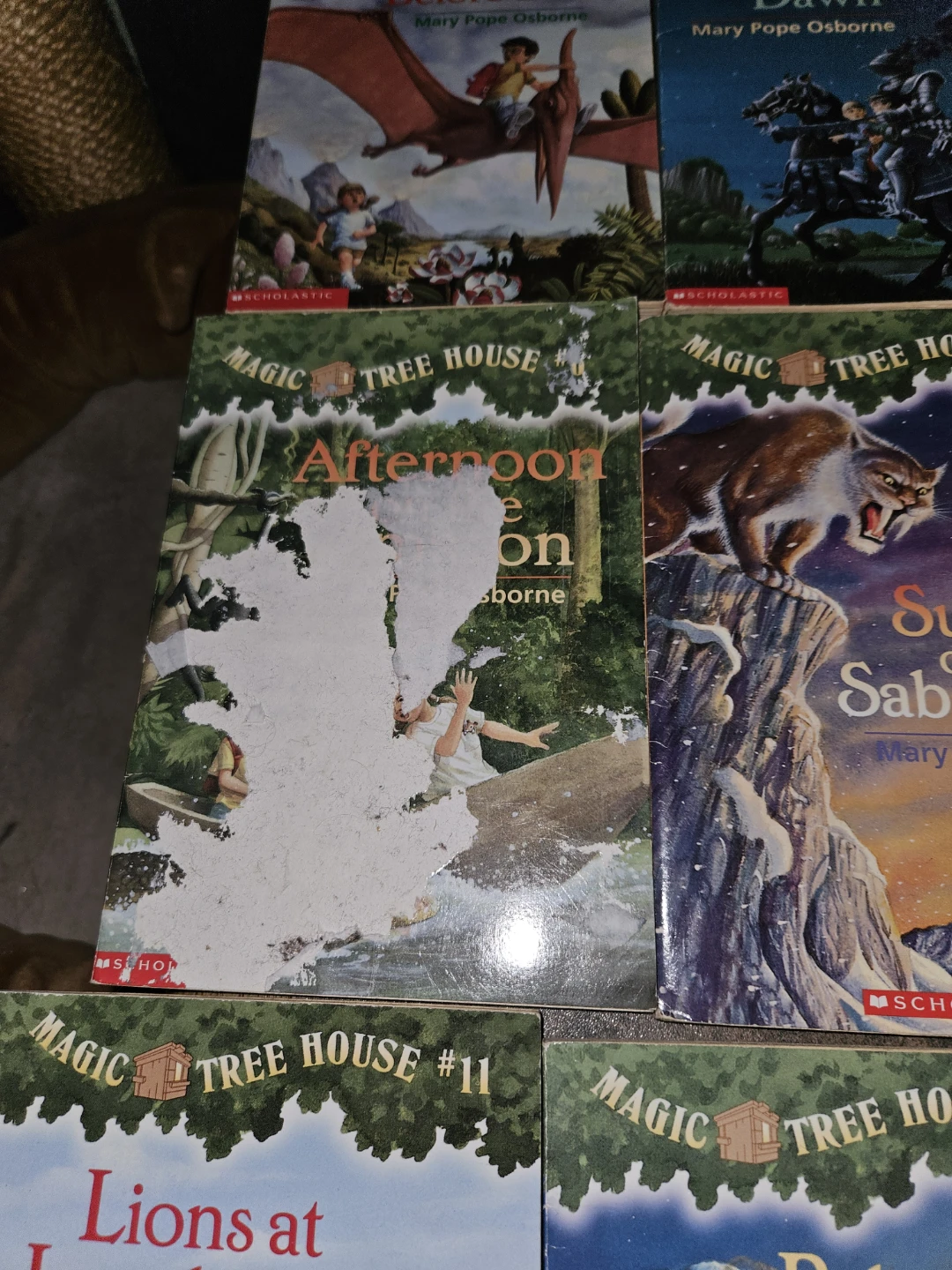 Magic Tree House Book Collection - photo 2