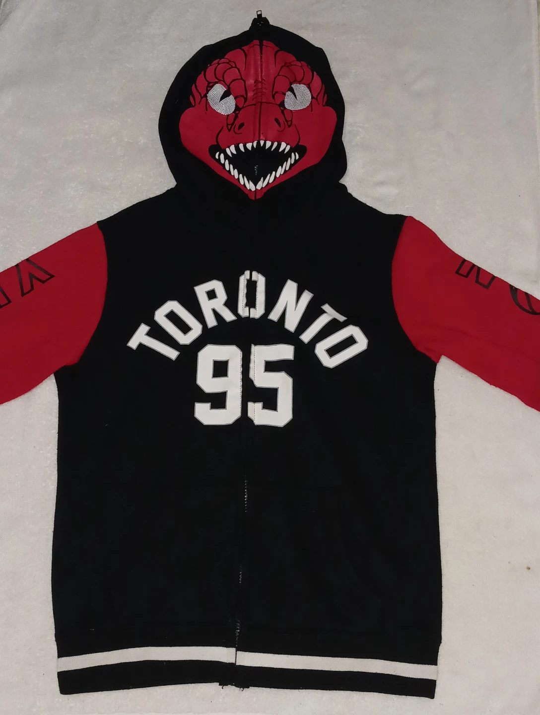 Toronto Raptors 95 Hoodie - photo 3