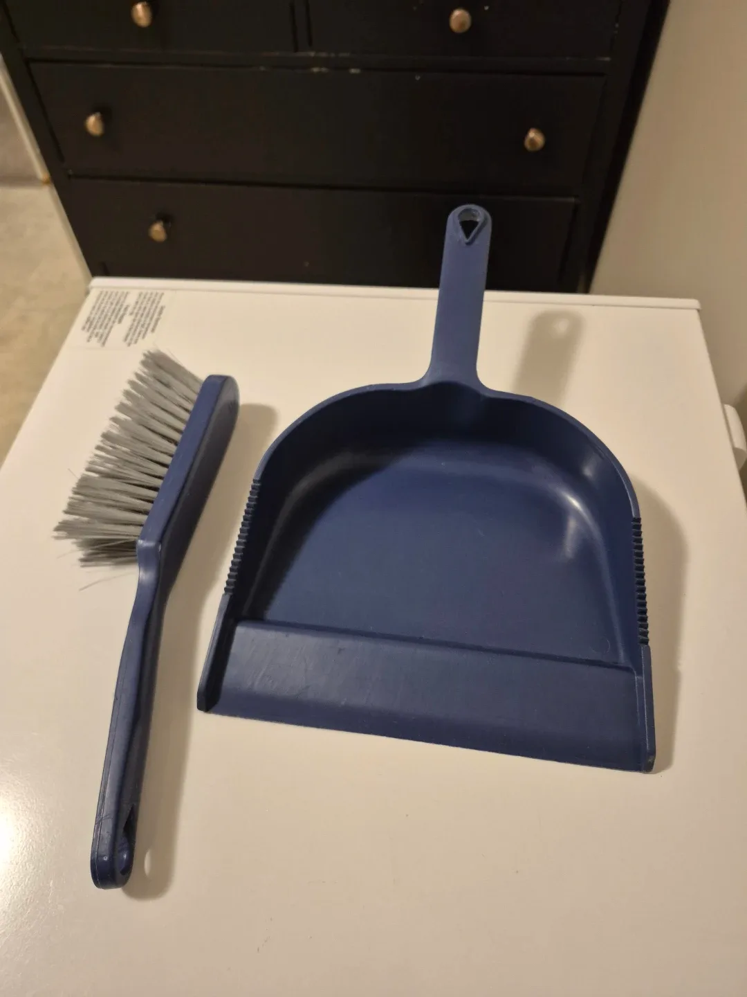 Blue Dustpan & Brush Set #Cleanout