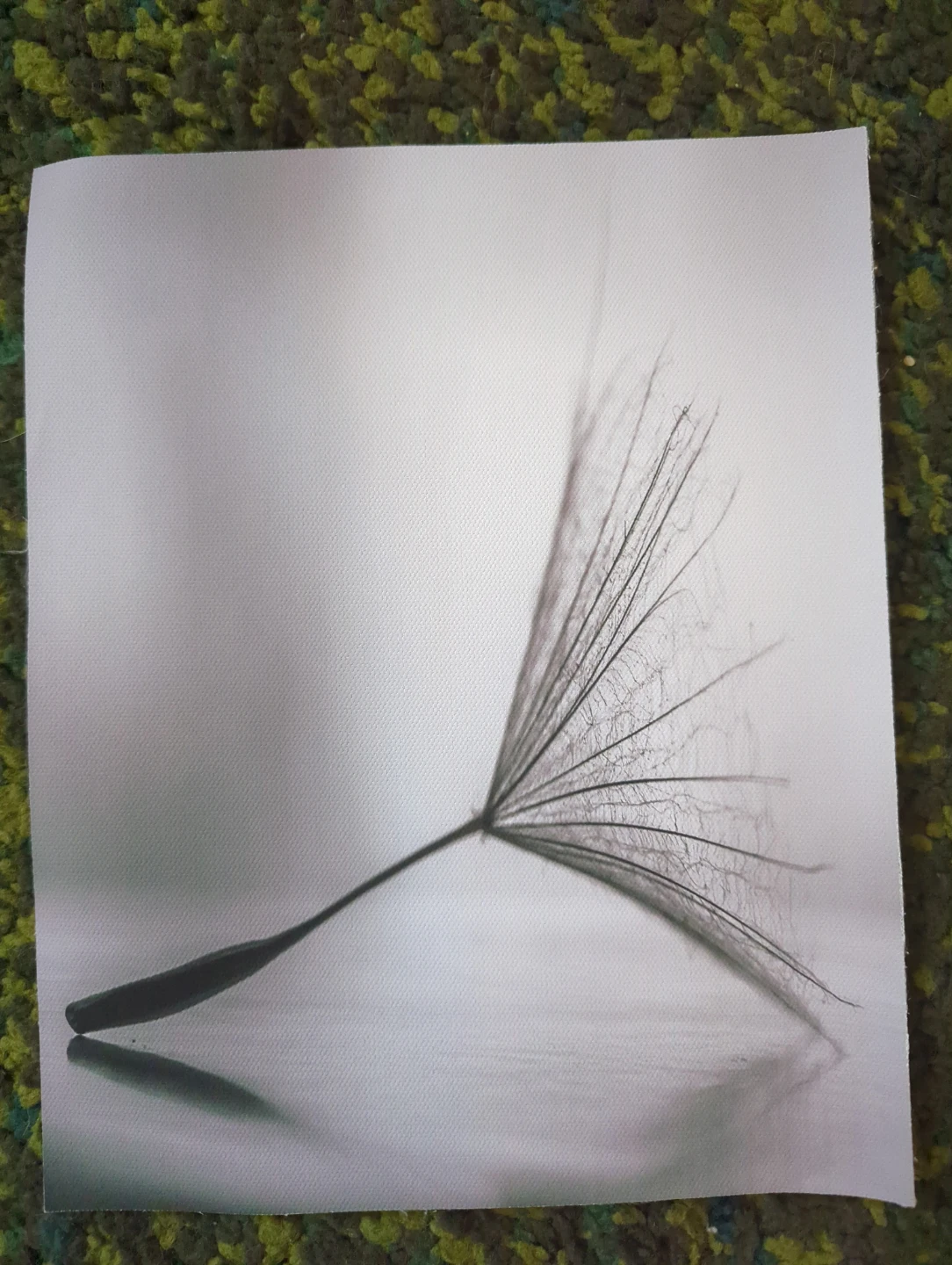 Canvas prints - Dandelion - photo 5