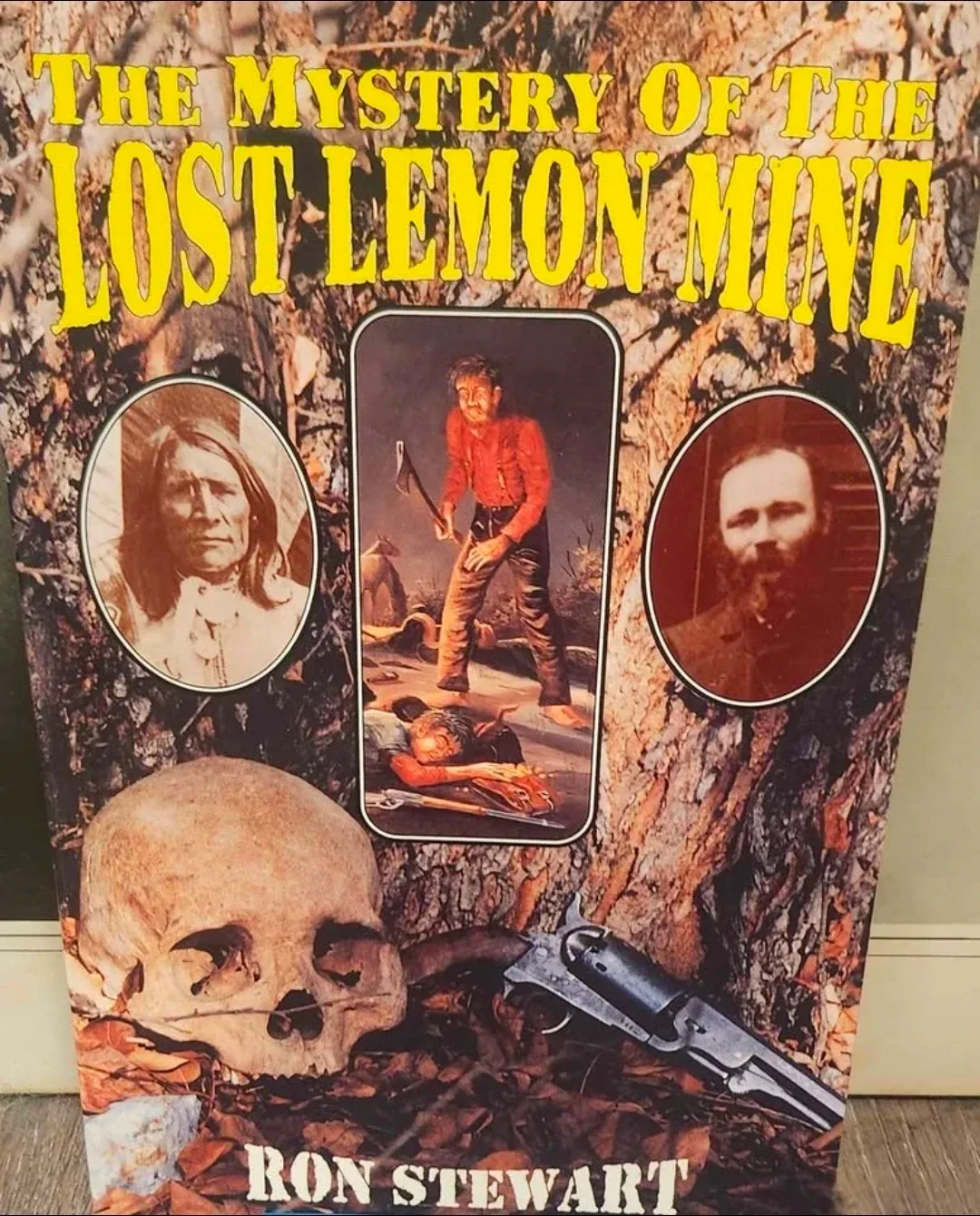 The Mystery of the Lost Lemon Mine by Ron Stewart