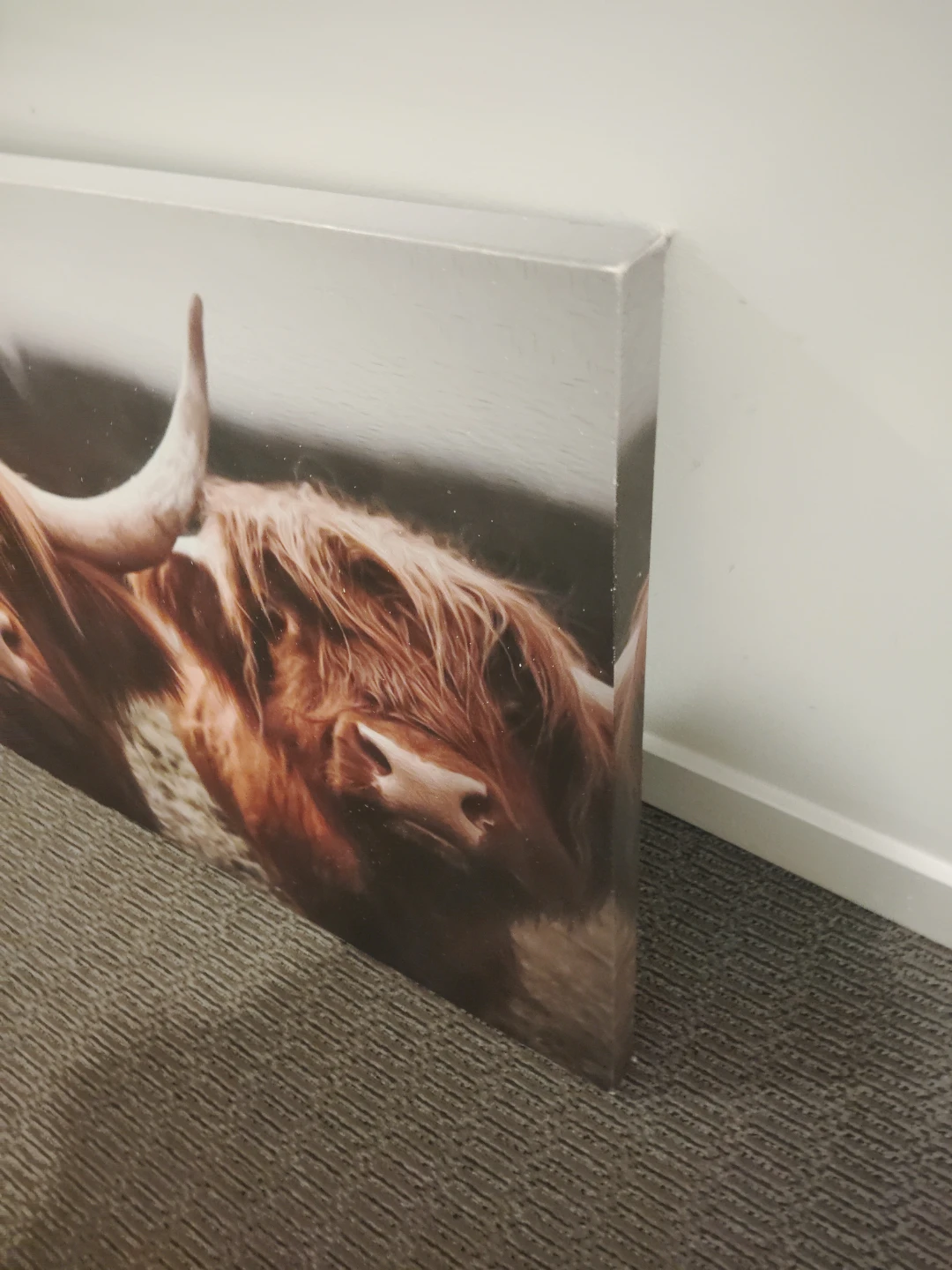Highland Cow Canvas Print - photo 2
