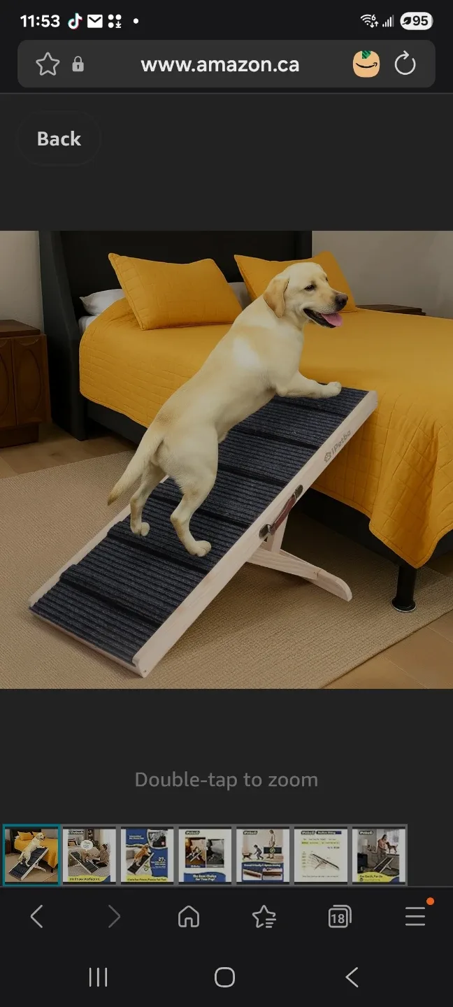 Wood Wood pet Ramp brand new
