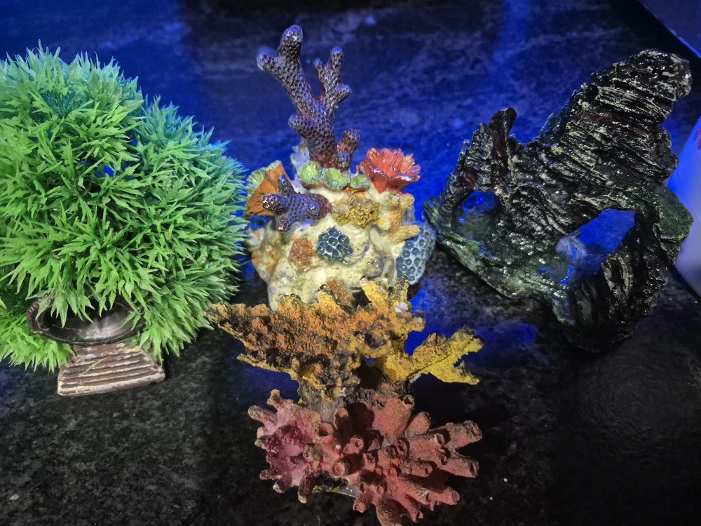 Aquarium decor