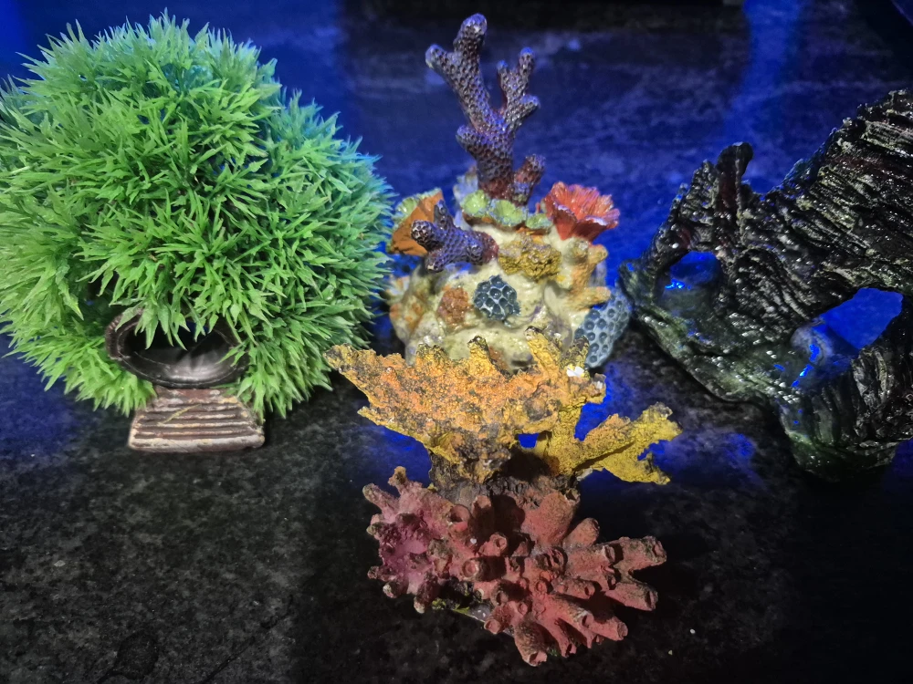 Aquarium decor - photo 2